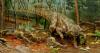 Mostra dinosauri Gubbio. Dove soggiornare