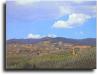Vacanza Benessere in Toscana, Prezzi Last Minute