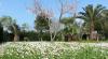 Appartamenti Relax vicino al mare dell'Agentario