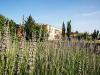 hotel-terme-spa-resort-4stelle-montegrimanoterme