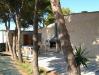 Barbecue nel giardino