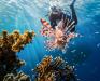  low-cost-Sharm-el-sheik-offerta-allinclusive