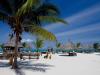 Offerte vacanze Zanzibar spiaggia bianca e snorkeling