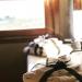 Set cortesia in hotel4stelle con suite nell'albero Umbria