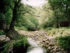 Brooks of the National Park of Gran Sasso