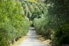 Agriturismo in Umbria immerso nel verde