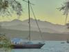 Escursione in Barca-Vela isola delba portoferraio