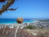 Apartments for rent in  San Vito Lo Capo