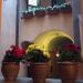 Cortile camere Spello centro