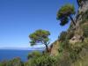 Stay near the Natural regional park of Portofino