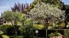 Giardino all'esterno