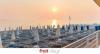 Coral Beach: Villaggio con spiaggia e animazione