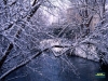 Il Nera in inverno