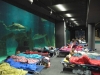 Dormire tra squali all'Acquario di Genova