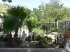 Relax in Hotel Catania immerso nel verde 