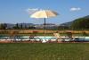 Piscina con Solarium attrezzato