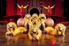 Cirque du Solei Dralion Tour in Italia