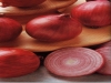 Cannara red onions