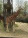 Holiday in Falconara Marittima, Vistit the Zoo