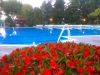 Mantenimento pulizia acque piscine estive