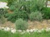 Zona piante aromatiche al Parco Cerimonie ad Assisi
