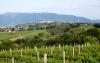 agriturismi a montefalco per i 100 giorni