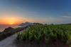 Relais 3km dal mare produzione vino Lipari 