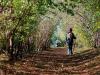 Trekking nel Parco regionale di Monte San Bartolo