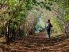 Trekking in the Park of Mount San Bartolo