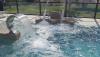 Piscina con Idromassaggio: Agriturismo nel Chianti