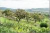 Casale Agrituristico casa-vacanza con prodotti tipici Magione