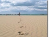 Beachfront hotels in Torre Pedrera Rimini