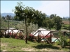 Giardino e vista piscina