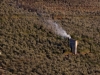 Rural homes between the olive trees