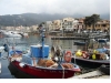 Appartamento sull'Isola d'Elba