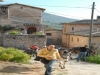 Trekking con i muli a Trevi Umbria
