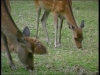 Parco delle Madonie