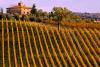 Hotels with View over the Tuscany Wineyards