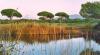 Vacanza Last minute a prezzi bassi in Toscana