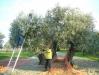Prodotti Biologici in Agriturismo