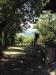 Agriturismo vicino Roma immerso nel verde