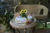 B&B a Montone con colazione celiaci 