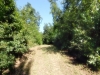 Trekking, Percorsi verdi 