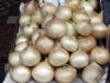 Onions market during the Sagra della Cipolla
