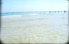 Hotel con Spiaggia Privata nel Salento