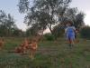 Agriturismo con Fattoria vicino Firenze