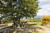 Casolare in affitto in autogestione con Giardino
