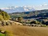 Alberghi, Baite e Cottage in Posizione panoramica