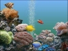 Acquari tropicali a Genova