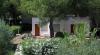 Bungalow immersi nella pineta del Villaggio